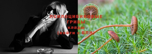 шишки Аркадак