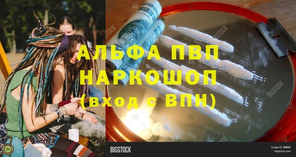шишки Аркадак