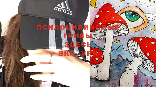 твердый Арсеньев