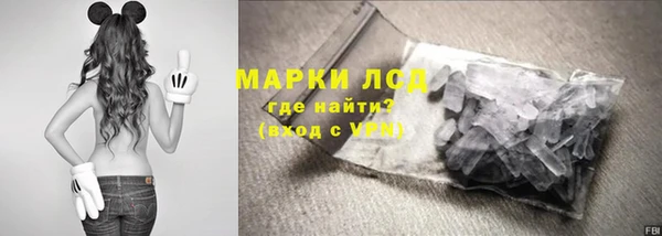 твердый Арсеньев