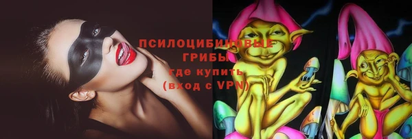 твердый Арсеньев