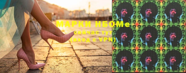 шишки Аркадак