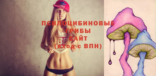 мяу мяу мука Новокубанск