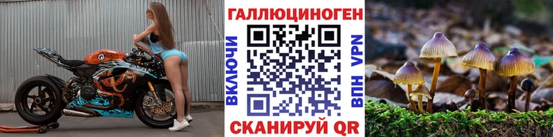 Псилоцибиновые грибы Cubensis  как найти   Артёмовск 